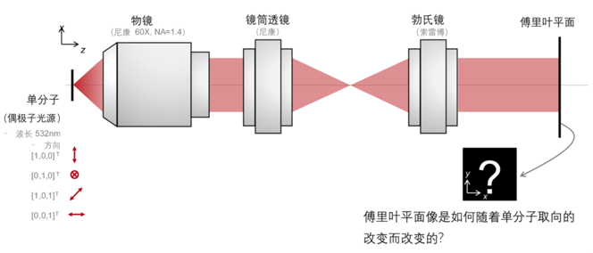 高NA傅里葉顯微鏡單分子成像的圖2
