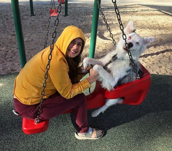 領養了一只又聾又瞎的狗狗，為了和它交流，她發明了一套手語 寵物 第18張