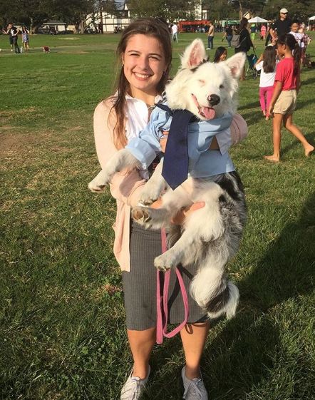 領養了一只又聾又瞎的狗狗，為了和它交流，她發明了一套手語 寵物 第1張