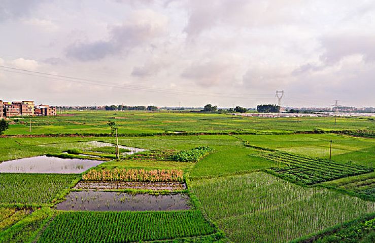 640?wx_fmt=png&tp=webp&wxfrom=5&wx_lazy=1&wx_co=1