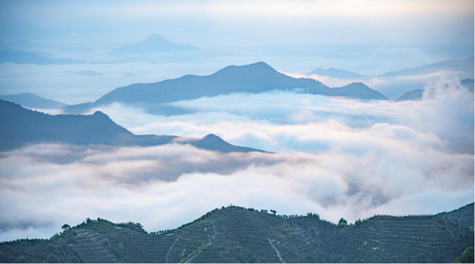 凤凰镇乌岽村上榜广东省文化和旅游特色村