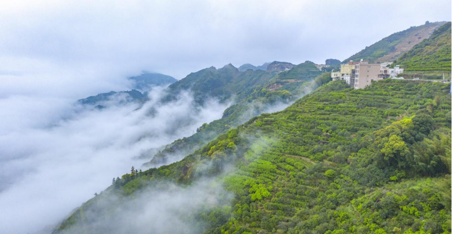 凤凰镇乌岽村上榜广东省文化和旅游特色村