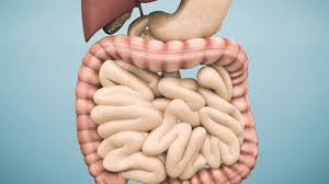 关于IBD领域立项的深入思考