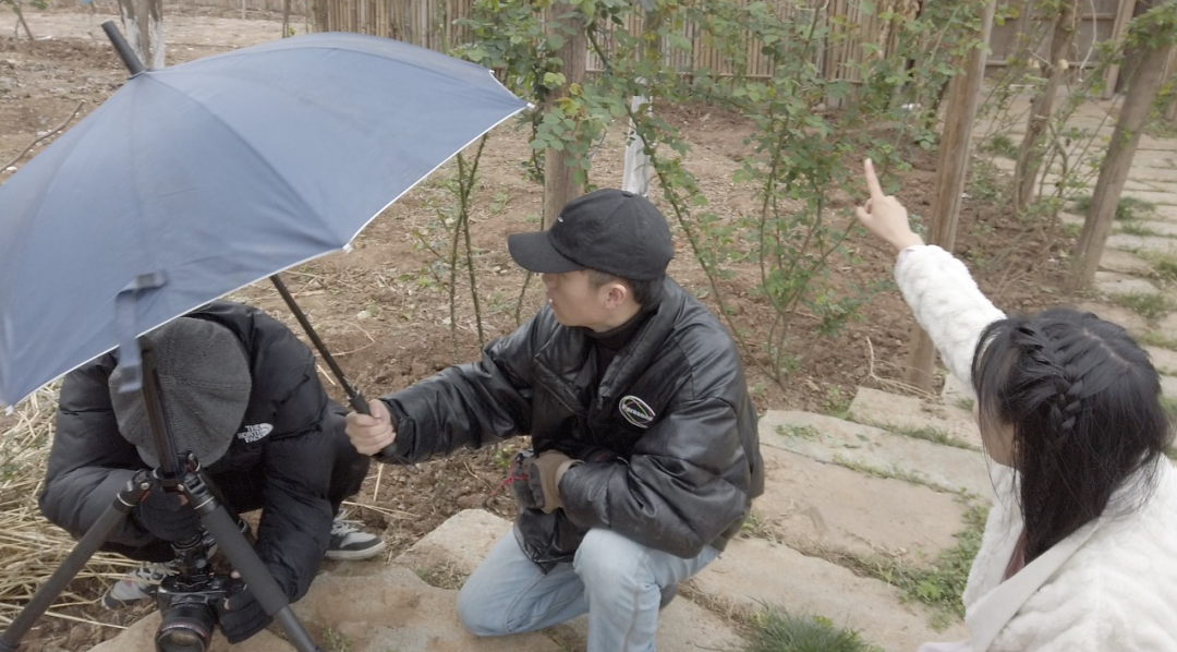 年收入5亿，消失800多天，李子柒露面，已今非昔比！