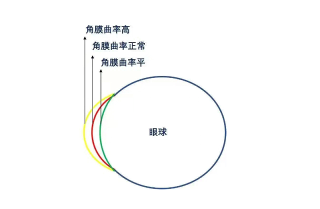 怎么测角膜直径眼视光中心丨一起了解眼球生物学测量_https://www.jmylbn.com_新闻资讯_第14张