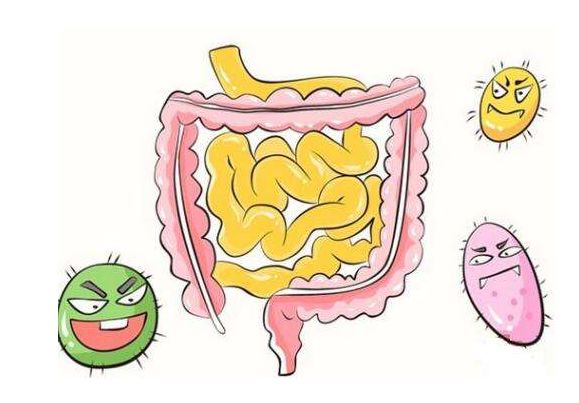 【育儿百科】宝宝肠道里的“小恶魔”当然要了解