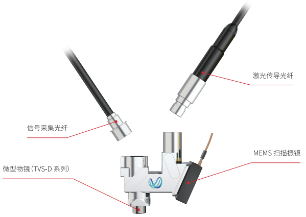 微型化三光子顯微鏡 自由行為動(dòng)物 深腦成像