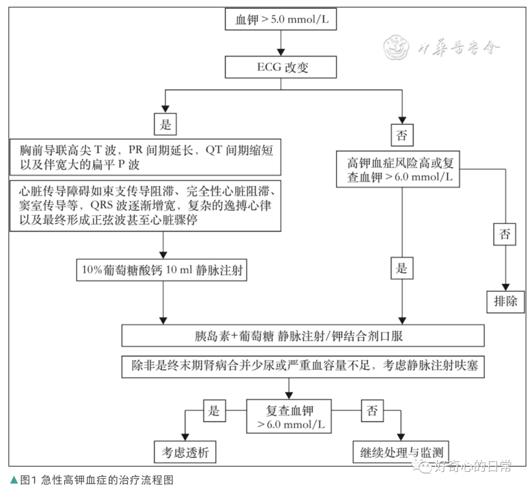 为什么要用推注泵临床基础知识系列（1）-高钾血症的碎碎念_https://www.jmylbn.com_新闻资讯_第14张