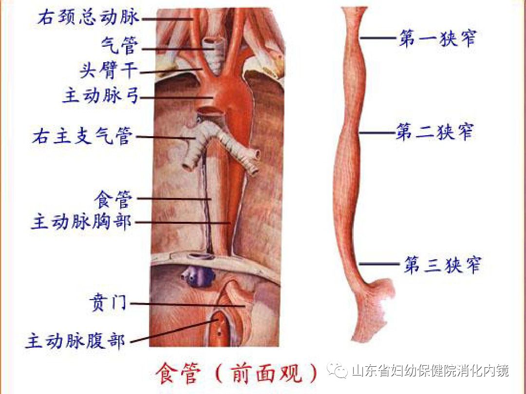 微信图片_20190318090636.jpg