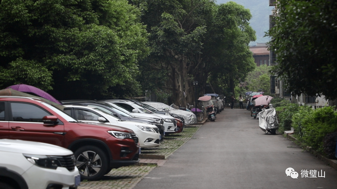 璧山区青杠街道物业服务大提升小区治理显成效