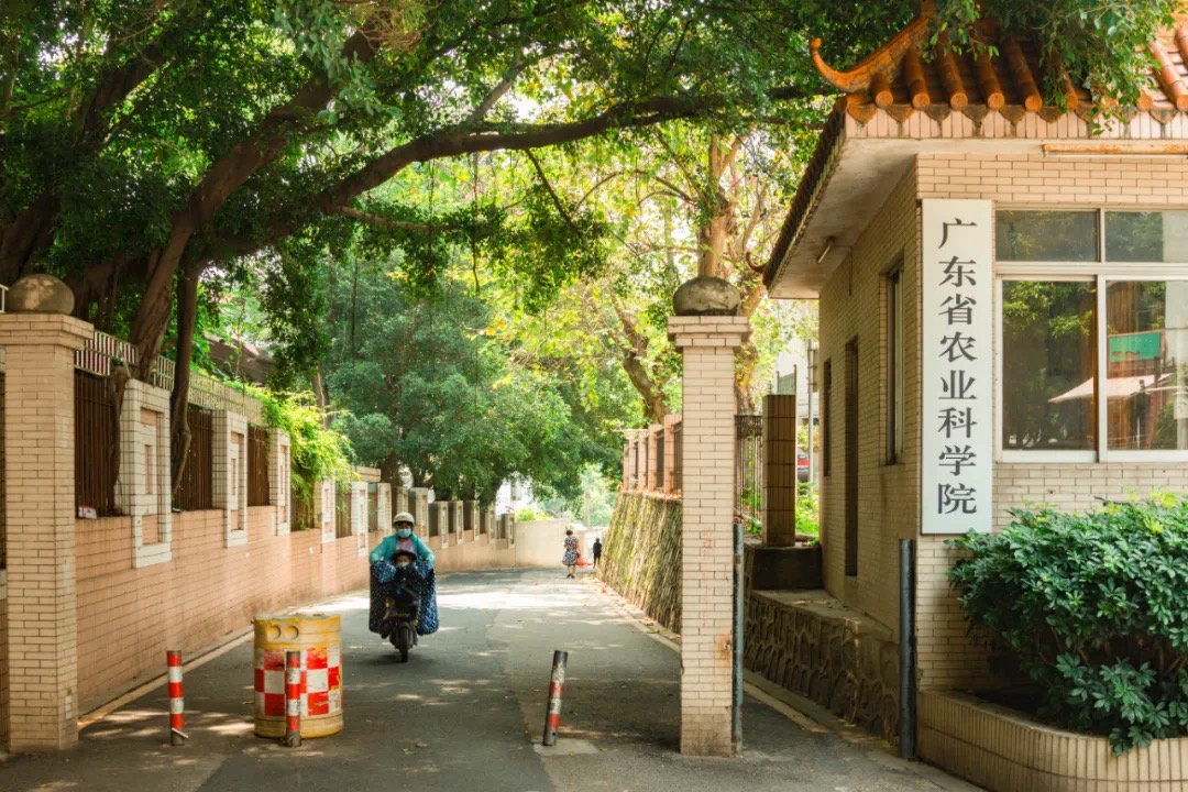 天河新盘即将入市！世纪金源-东莞庄华工旁项目 90-135㎡三*四房