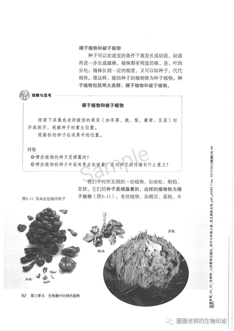 裸子植物和被子植物 Page 人教版七年级生物上册电子课本 教材 教科书 好多电子课本网