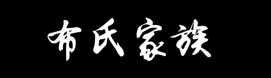 百家姓历史031——布氏家族资料