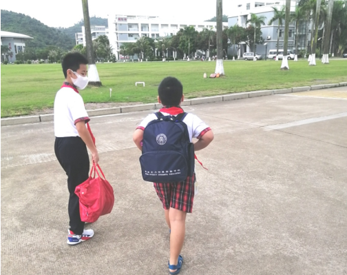 珠海小学排名前十名学校_珠海小学最新排名_珠海小学