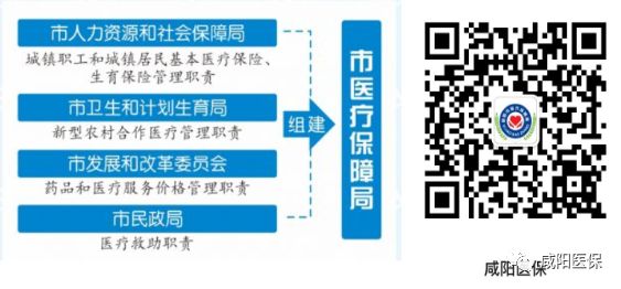 咸阳市人事局_咸阳市人社局副局长_咸阳市人社局局长简历