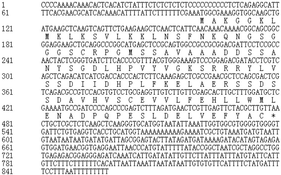 天然氨基酸中不存在的氨基酸_asp是什么氨基酸_asp氨基酸