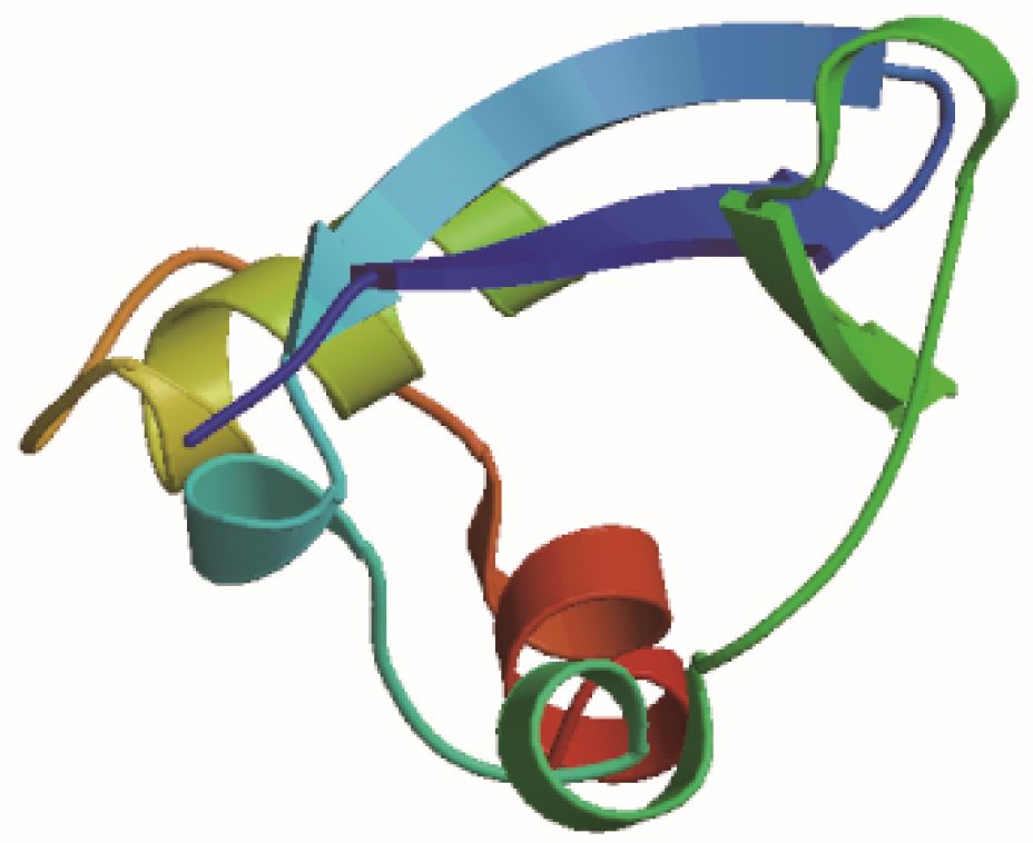 天然氨基酸中不存在的氨基酸_asp是什么氨基酸_asp氨基酸