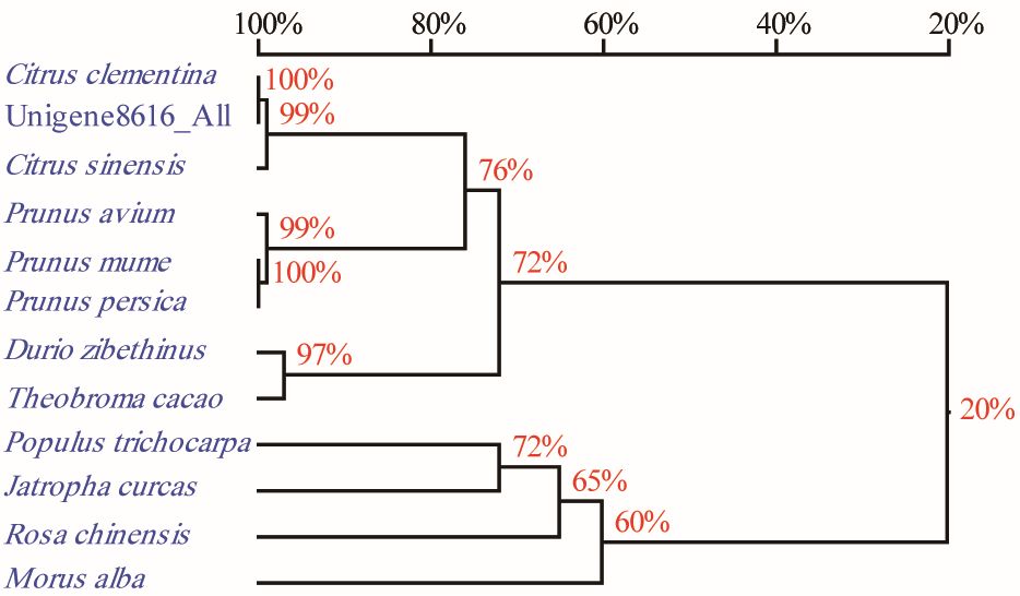 asp氨基酸_asp是什么氨基酸_天然氨基酸中不存在的氨基酸