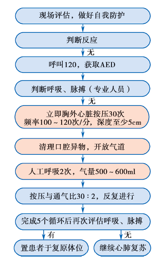 cpr按压板怎么放置关于心肺复苏需要掌握的知识点汇总_https://www.jmylbn.com_新闻资讯_第37张
