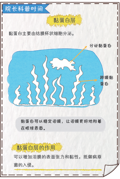 眼睛幹澀、畏風畏光、流淚不止.....這是病 健康 第14張