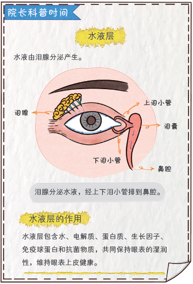 眼睛幹澀、畏風畏光、流淚不止.....這是病 健康 第15張