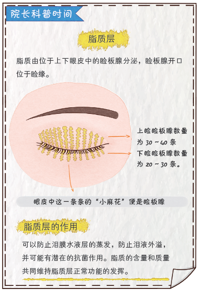 眼睛幹澀、畏風畏光、流淚不止.....這是病 健康 第16張