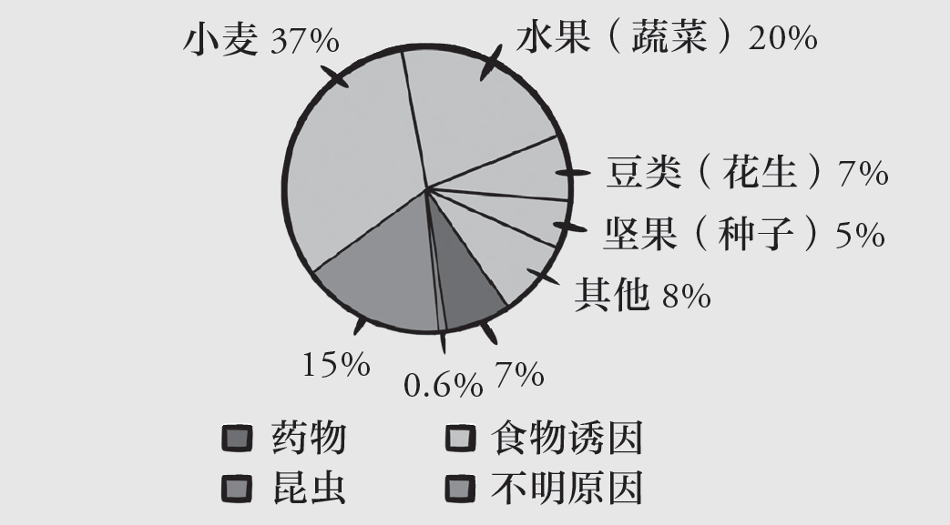 过敏性休克：生活中的致命杀手，您注意了吗？
