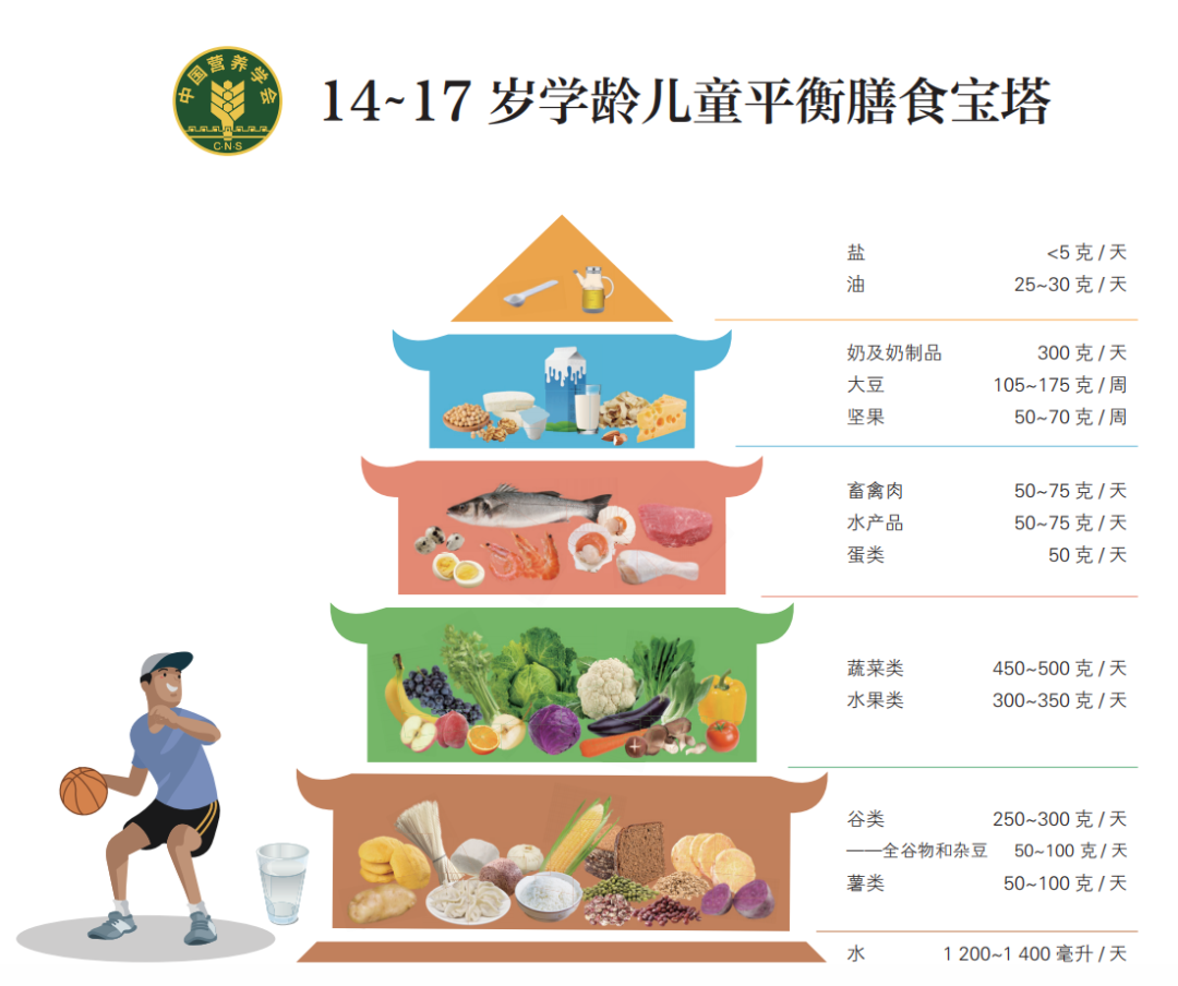 青少年平衡膳食宝塔图片