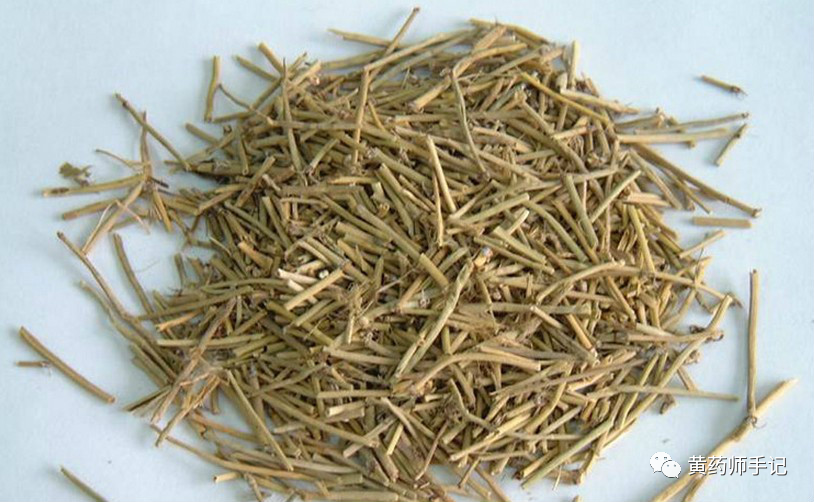 它是风寒感冒第一药、温肺首选药，常用于咳嗽鼻塞、皮肤瘙痒、荨麻疹、慢性鼻炎