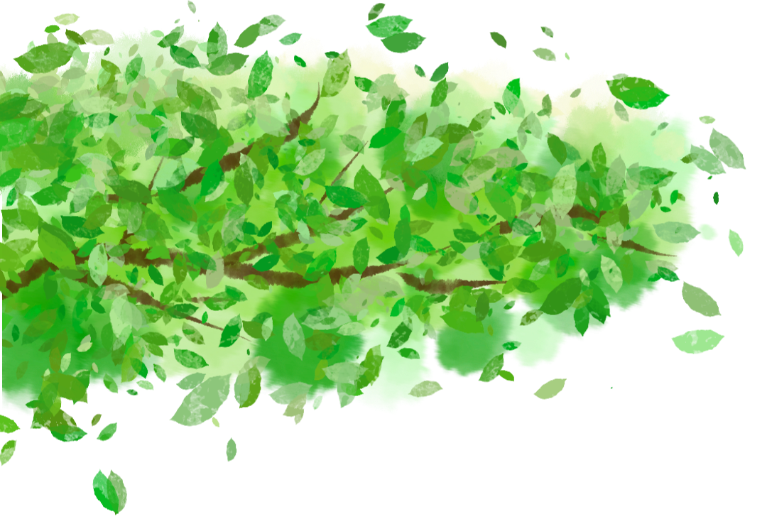 高架、街巷一路生花，金牛人：这浪漫我熟！插图1