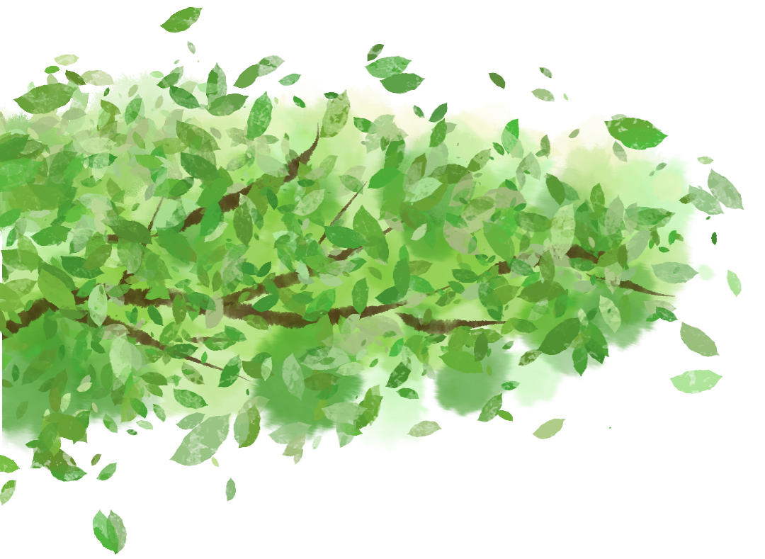 高架、街巷一路生花，金牛人：这浪漫我熟！插图15