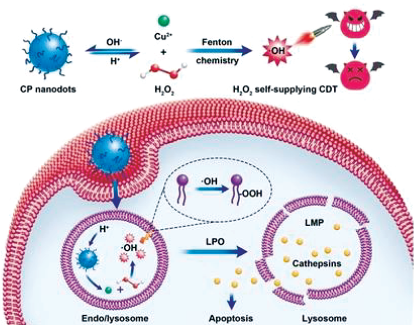 子宫支架怎么上宫颈HPV感染者的福音——宫颈治疗支架疗法，你知多少？（文末获取5分钟速查方式）_https://www.jmylbn.com_新闻资讯_第7张