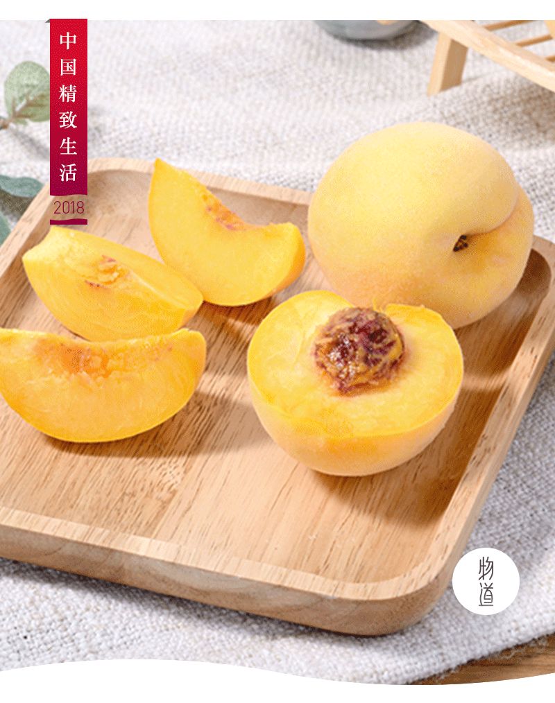 樹上剛摘下來的黃金蜜桃 甜到心都化了 物道 微文庫