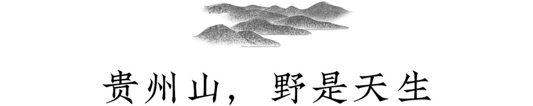 贵州，凭什么贵？