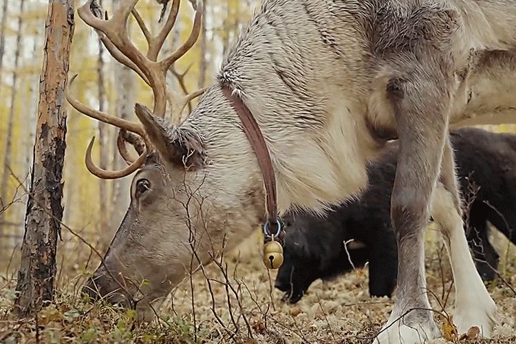 一群90后拍中国最美世外桃源，点击过亿，看过的人都惊呼自己白活了