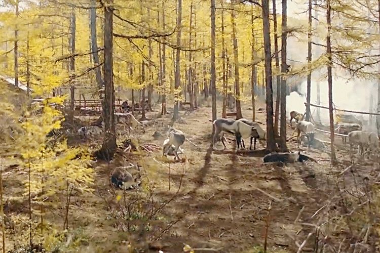 一群90后拍中国最美世外桃源，点击过亿，看过的人都惊呼自己白活了