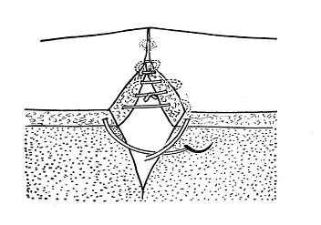 医疗缝线怎么做外科常见缝合方法_https://www.jmylbn.com_新闻资讯_第17张