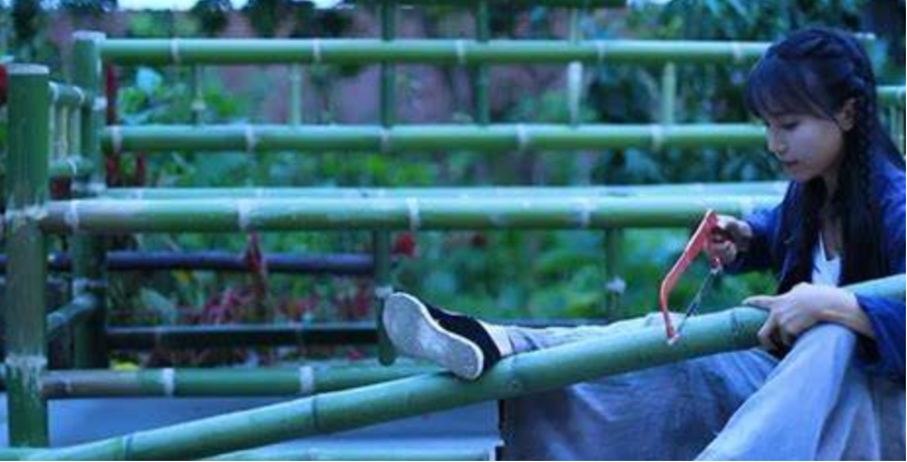 李子柒事件“余震”：网红纷纷翻合同，IP究竟是谁的？