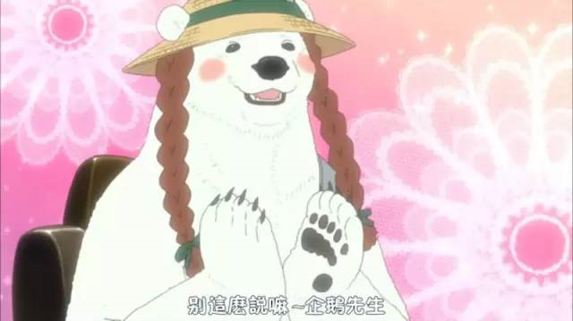 白熊咖啡厅是什么题材_白熊咖啡厅白熊cv是谁_白熊咖啡厅白熊