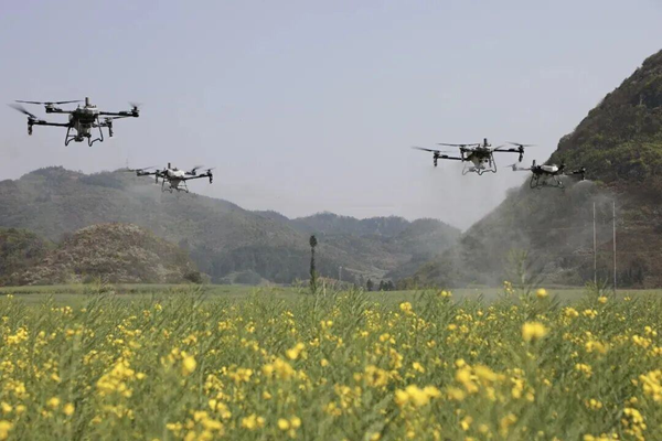 从“面朝黄土”到“云端种田”：中国无人机，正在彻底改写现代农业格局