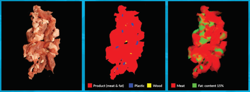 【案例应用】 QuantumDesign中国 | 高光谱成像HSI和X-rays在食品行业的应用的图5