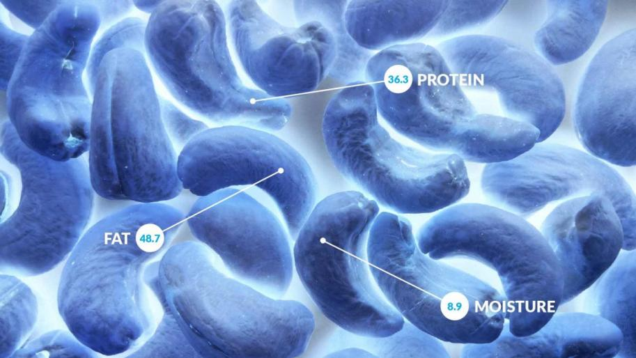 【案例应用】 QuantumDesign中国 | 高光谱成像HSI和X-rays在食品行业的应用的图1