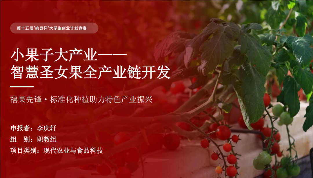 省级三等奖+1