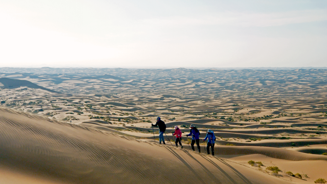野奢沙漠露營| 穿越騰格裡，用足跡去體驗理想生活 旅遊 第15張