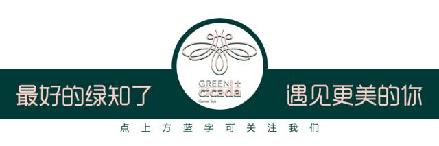 脱发用生姜洗发水究竟有没有效果？