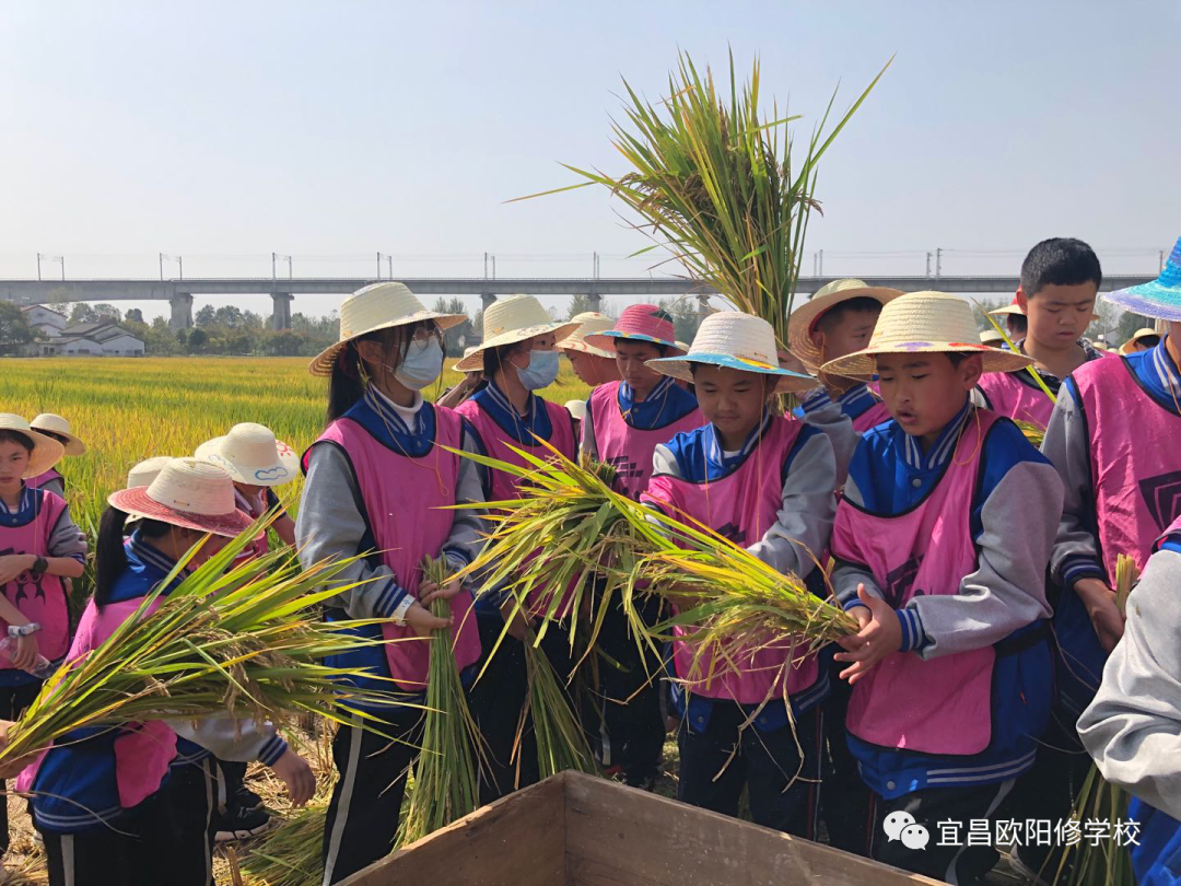 金东方学校一年学费多少_金东方学校_金东方小学