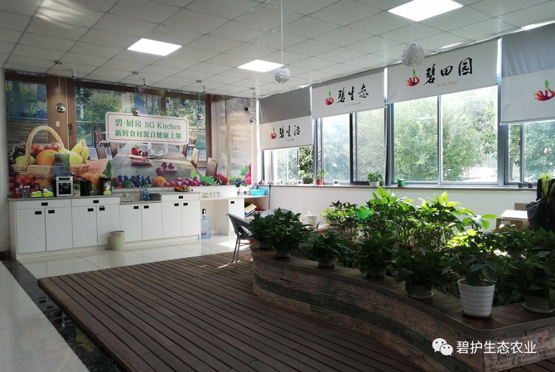 �����ơ����Ѹ��类���衰�ڶ���ȫ��ũ�崴�´�ҵʵѵ���ء�