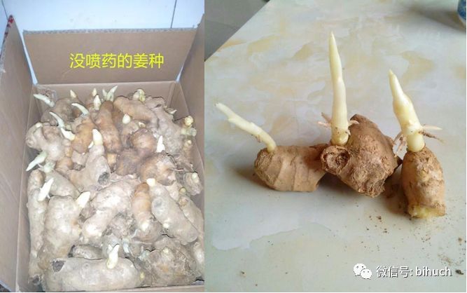 ������Ҫ�������ִ��������ǲ����ͣ�