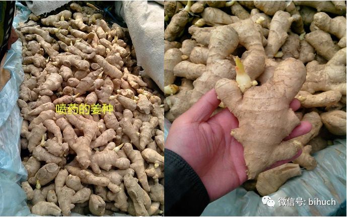 ������Ҫ�������ִ��������ǲ����ͣ�