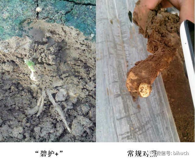 ������Ҫ�������ִ��������ǲ����ͣ�